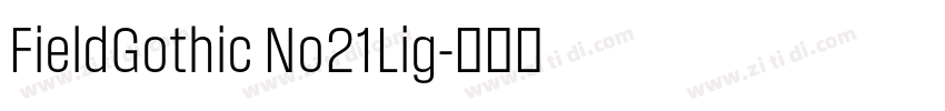 FieldGothic No21Lig字体转换